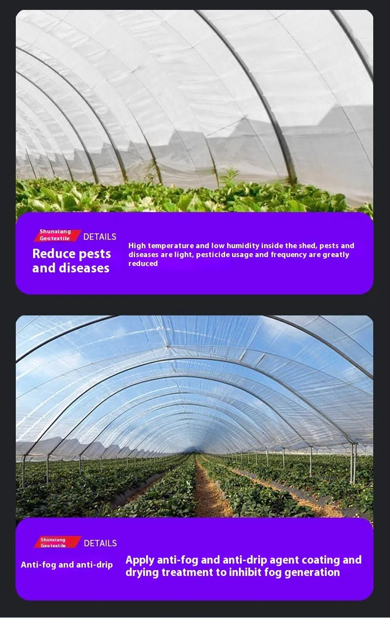 Plastic greenhouse film measuring 4m by 8m for vegetable shed insulation and cold protection