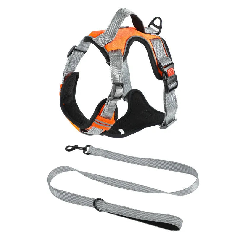 Dog wearing orange polyester chest strap with attached hand holding rope