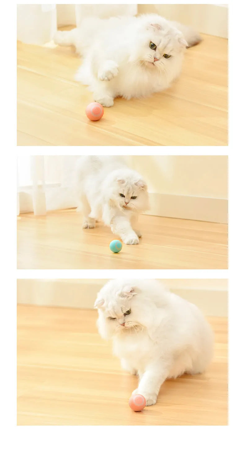 Green automatic rolling ball cat toy with a 43mm ball on a hard floor