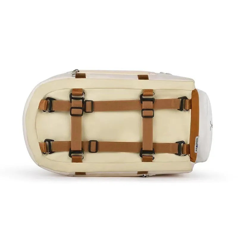Beige hard-sided cat carrier with one-shoulder strap, EPE padding interior, dimensions 43x25x22.5cm