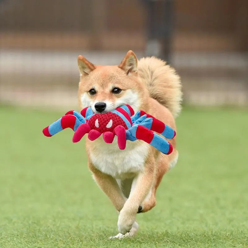 Red teddy bear chew toy for medium and large dogs on a plain background