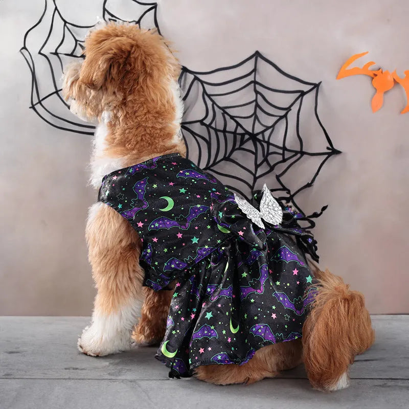 Halloween dog costume with angel wings in bright pumpkin design, showing front closure and wing extension