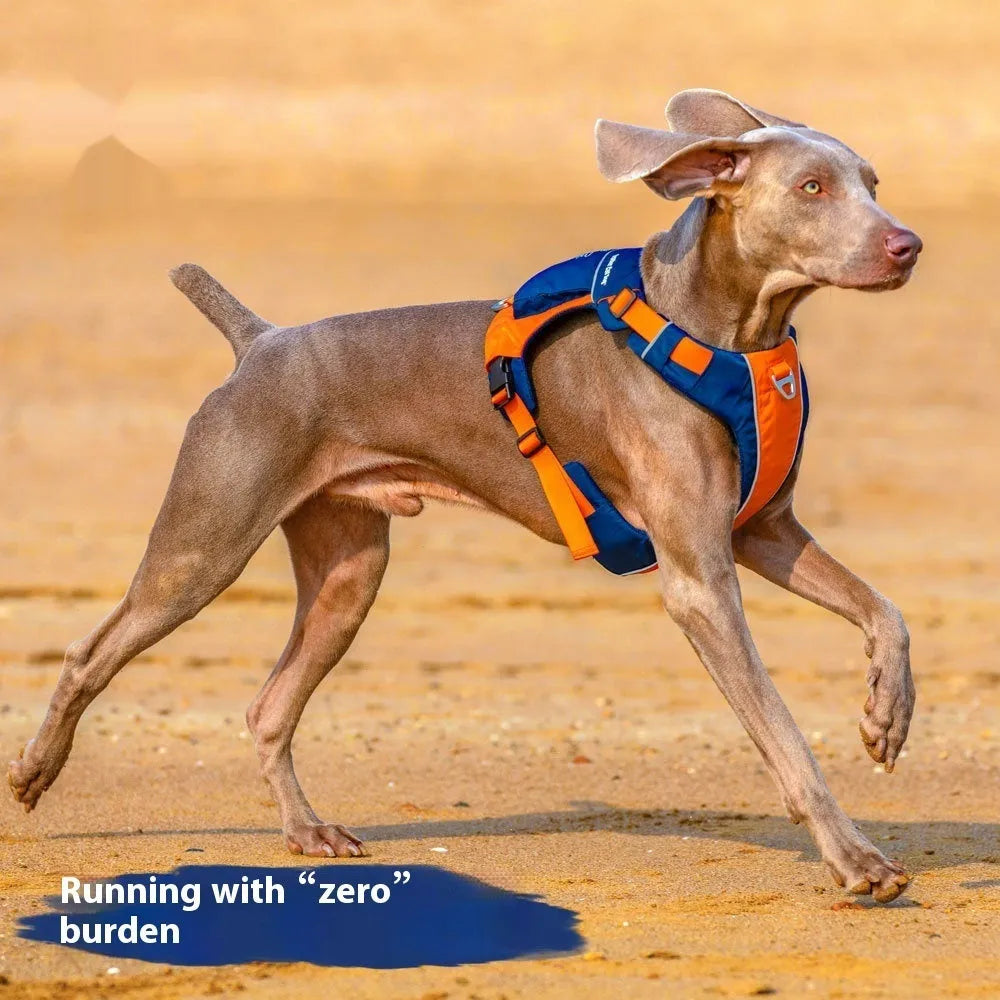 Nylon dog chest strap vest harness in orange-blue colour with adjustable rope design