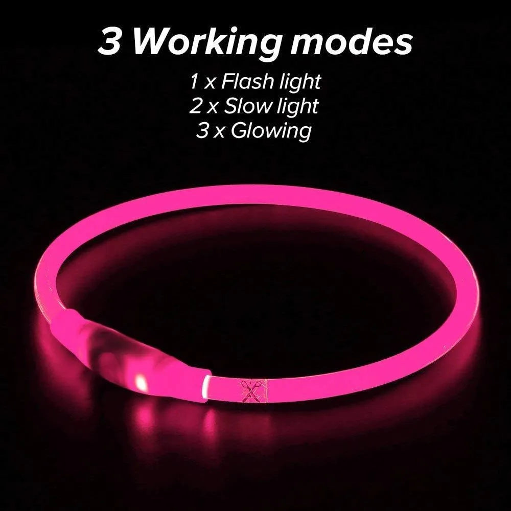 USB-rechargeable LED dog collar glowing in blue with adjustable 70cm length for pet safety