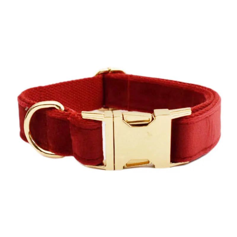 Dog wearing coordinated cloth collar set with bow, vest, and matching leash