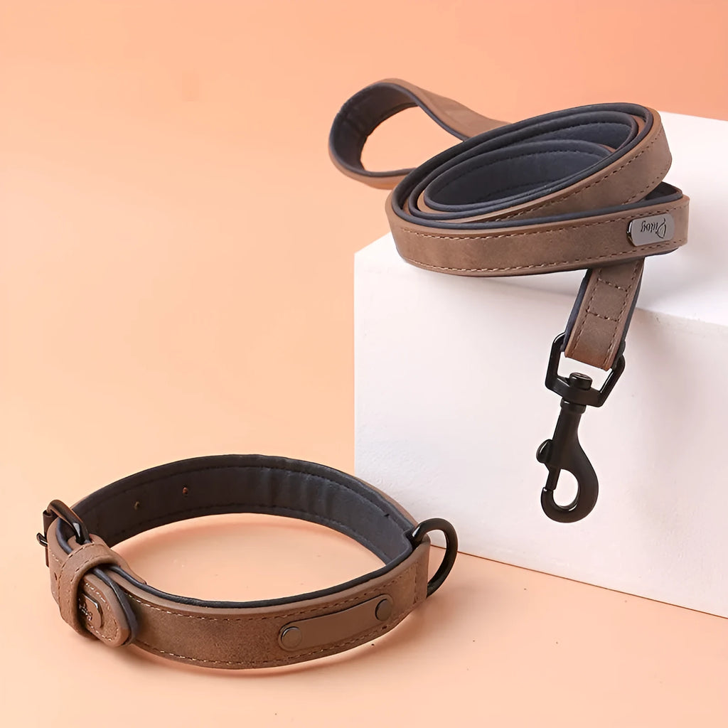 Adjustable dog collar with double-layer thickening in purple colour showing buckle and material texture