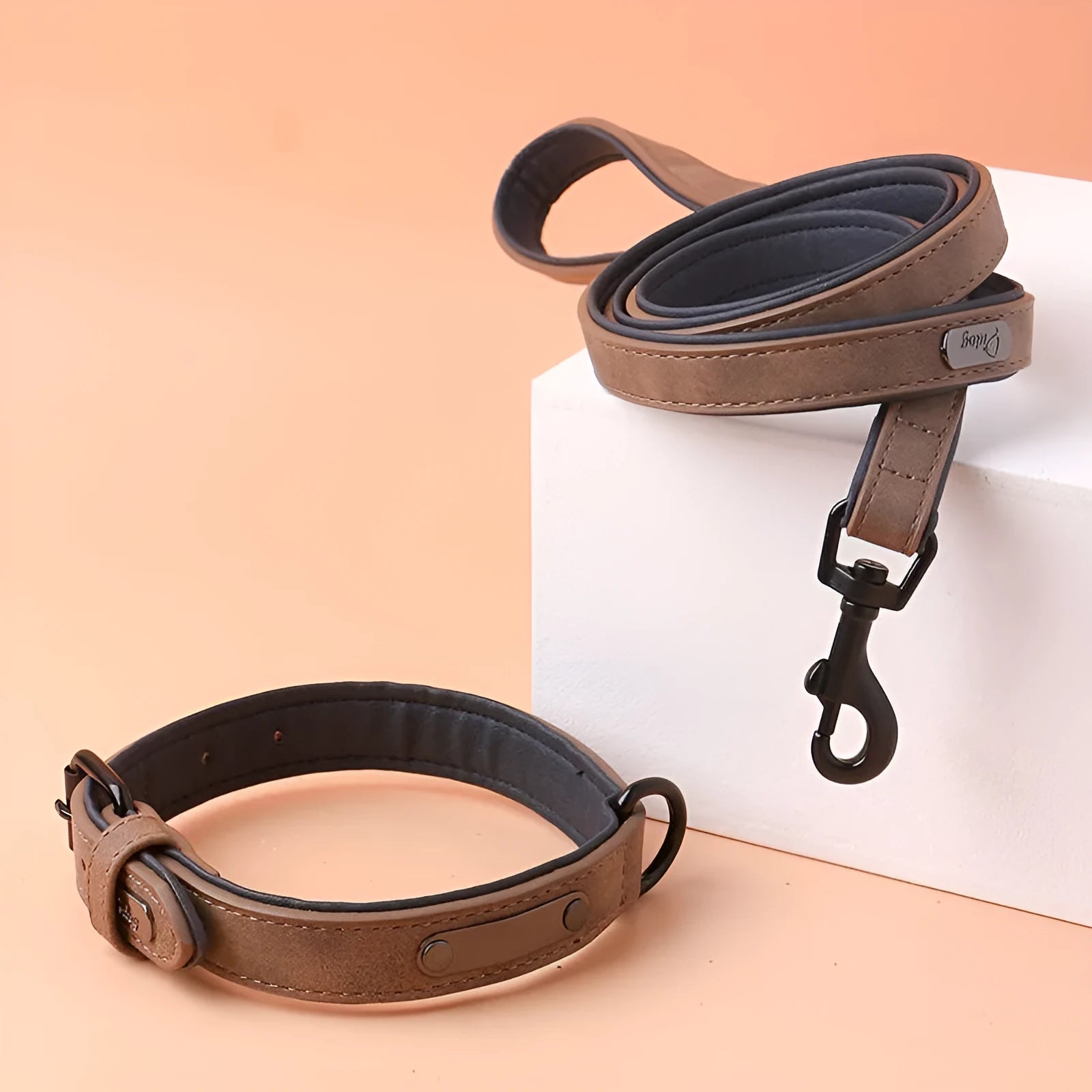 Adjustable dog collar with double-layer thickening in purple colour showing buckle and material texture