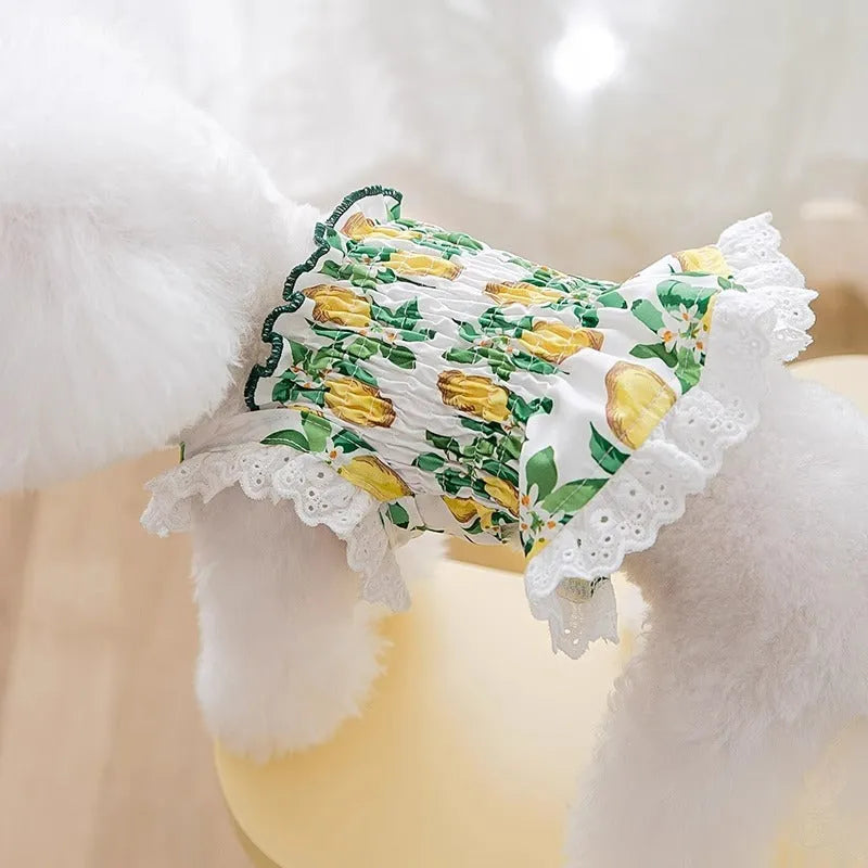 Rock yellow lemon polyester dog dress with adjustable strap skirt on small dog