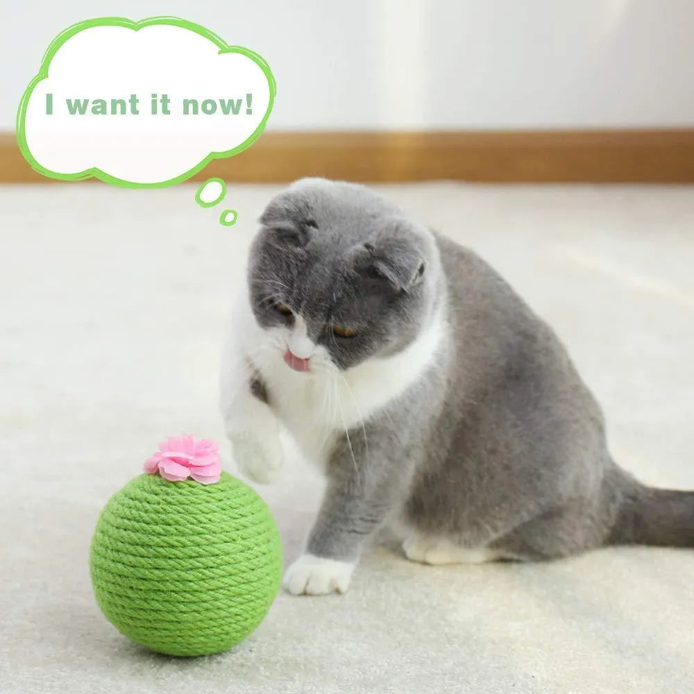 Green tumbler cactus cat scratcher with natural sisal surfaces and integrated ball toy