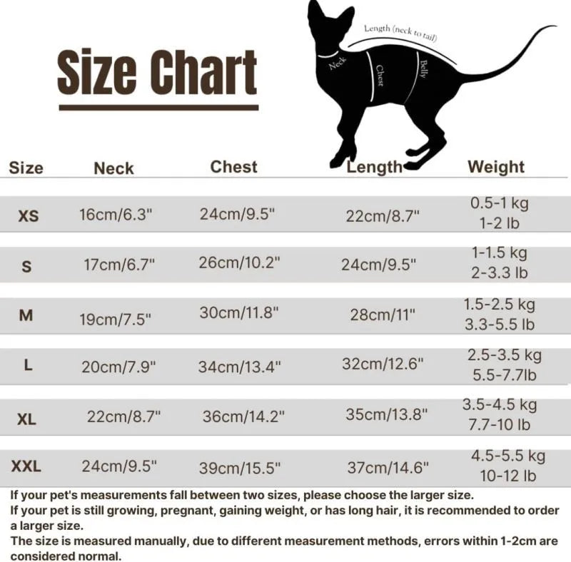 Sphynx cat wearing green dinosaur costume with tail and spikes, showing full-body fleece outfit