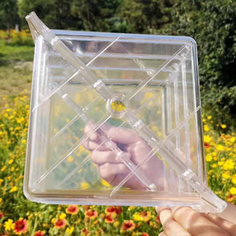 Square plastic growth mould for shaping watermelons and fruit to a 13cm cube size.