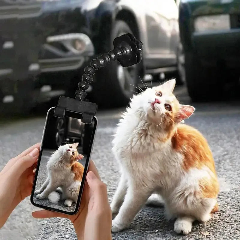 Black pet photography tool with rotating clip and snack holder for mobile phone cameras