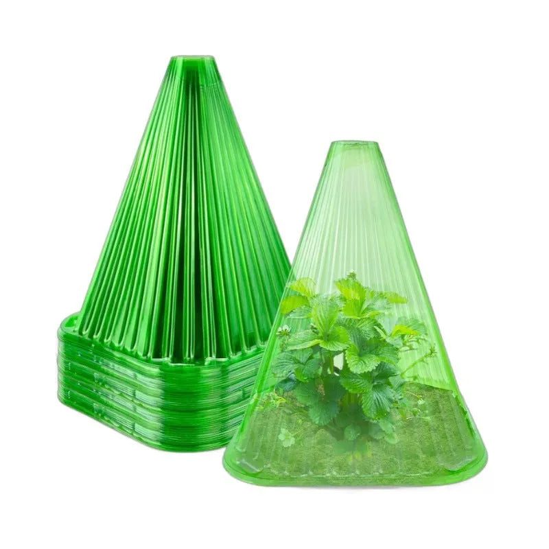 Reusable square plastic plant cover with ground stake for seedlings, shown in green or white bell jar style
