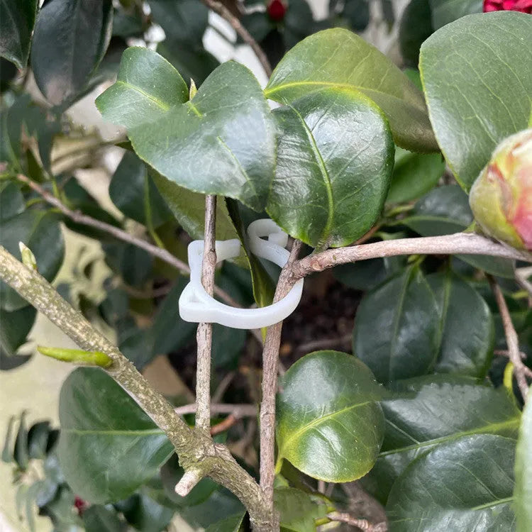 Cat-shaped plastic plant clip in green, red, white, or yellow, measuring 3cm by 4cm by 0.5cm