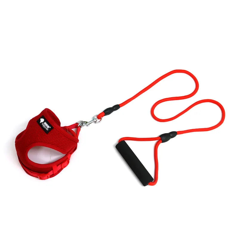Blue adjustable dog leash with foam handle and 120cm rope for small dogs