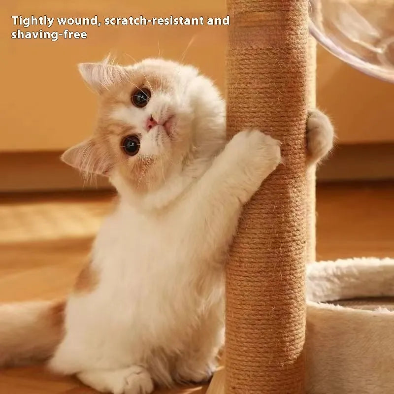 Wooden cat climbing frame with space capsule in luxury wood colour