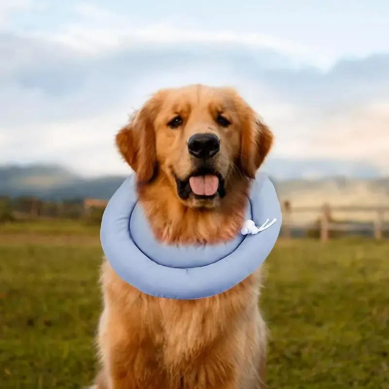 Waterproof Elizabethan collar for dogs and cats in pink, blue, or grey colours