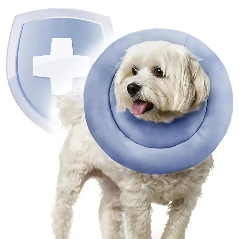 Waterproof Elizabethan collar for dogs and cats in pink, blue, or grey colours
