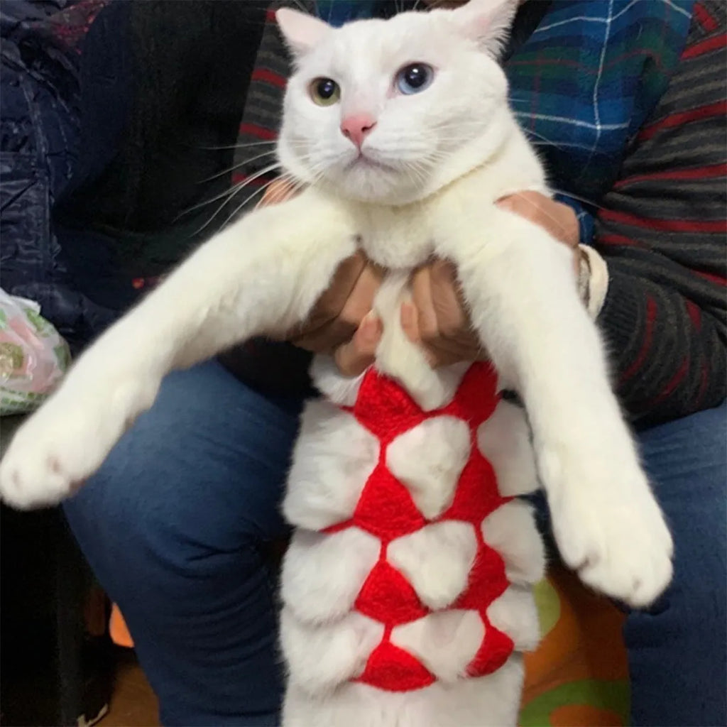 Cat wearing a polyester bikini costume in multiple colour options for Halloween or festival events