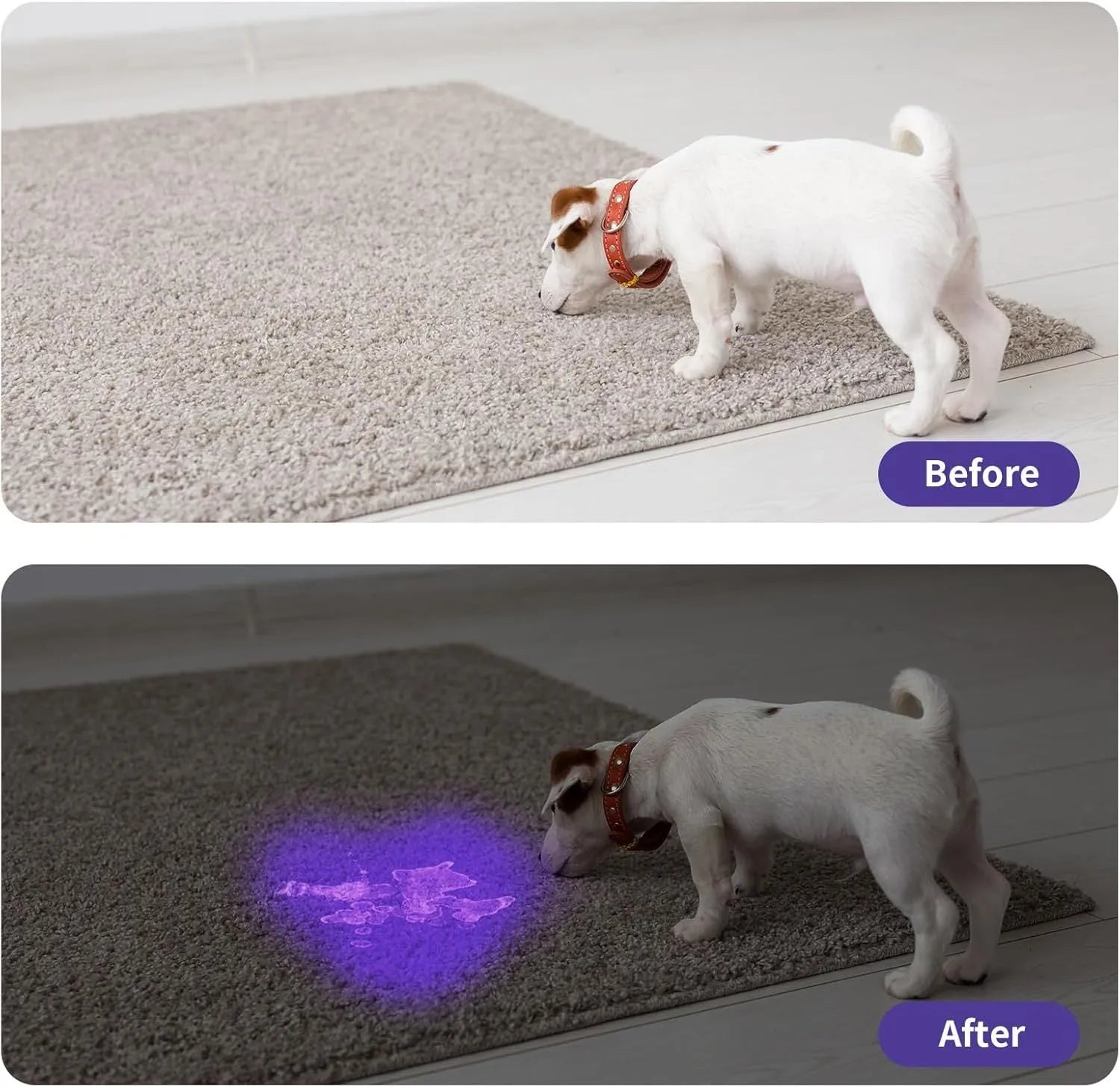 Black or silver aluminium alloy UV flashlight for detecting pet stains and insects.