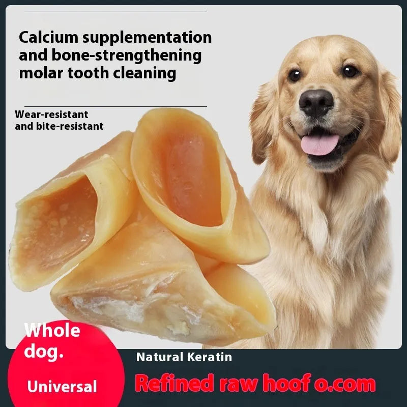 Natural cowhide dog chew with hoof shell colour and edible cutin layer for dental health