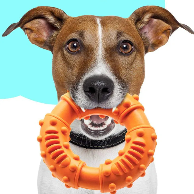 Blue dog fetching stick toy with hollow centre, measuring 13x13x4cm and 266g, for safe chew and fetch play
