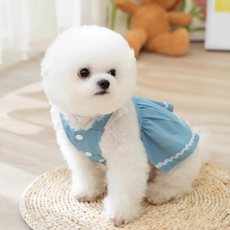 Bondi blue denim skirt for dogs with a strawberry print, shown on a small dog.