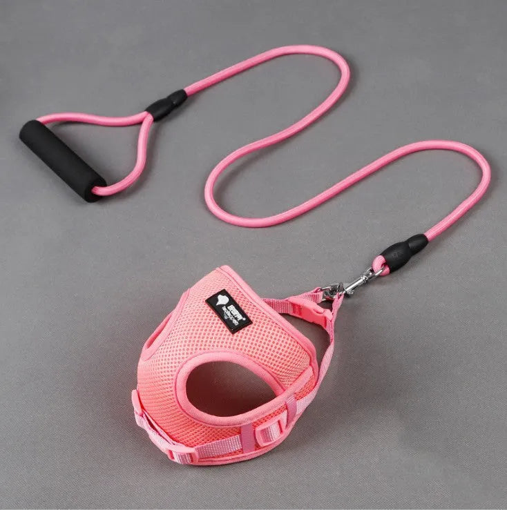 Blue adjustable dog leash with foam handle and 120cm rope for small dogs