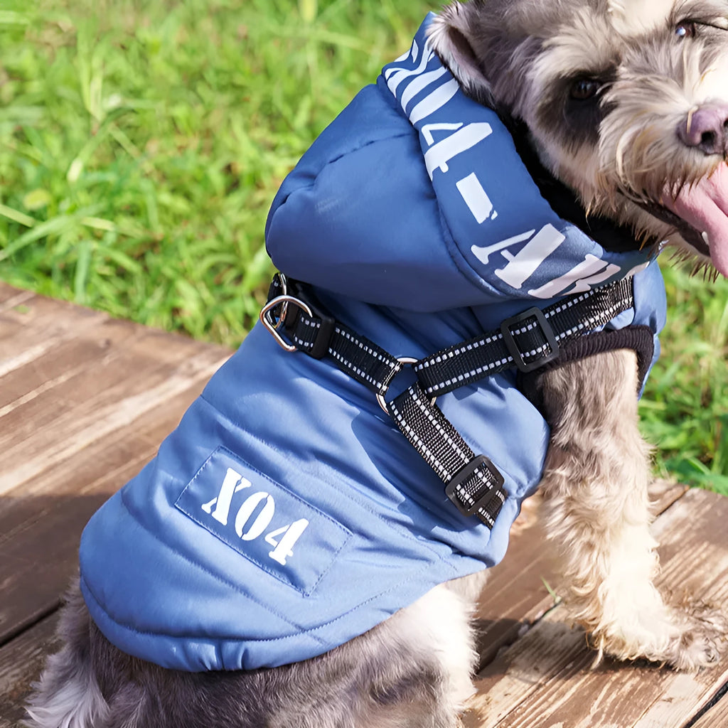 Red fleece-lined waterproof dog winter jacket with hood on medium-sized dog