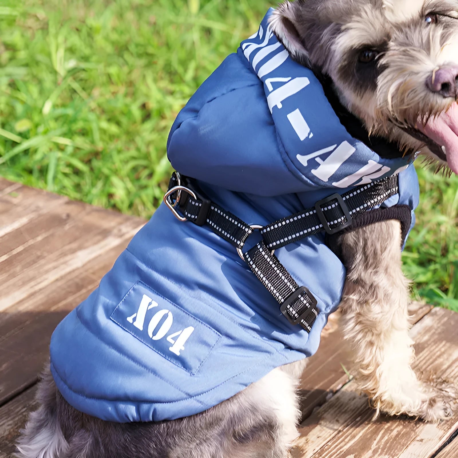 Red fleece-lined waterproof dog winter jacket with hood on medium-sized dog
