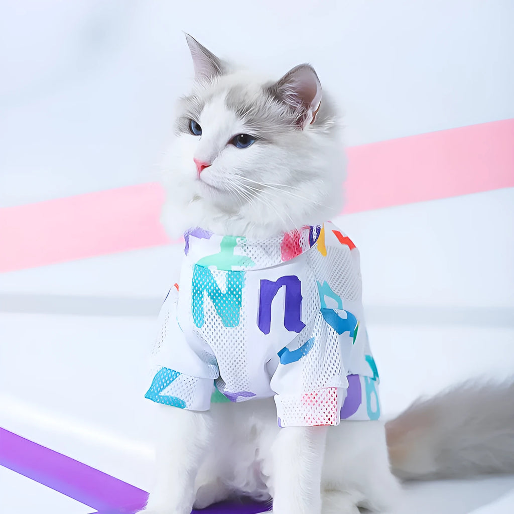 Blue polyester mesh cat vest, anti hair loss pet clothing, XS to 2XL with 34-59 cm bust