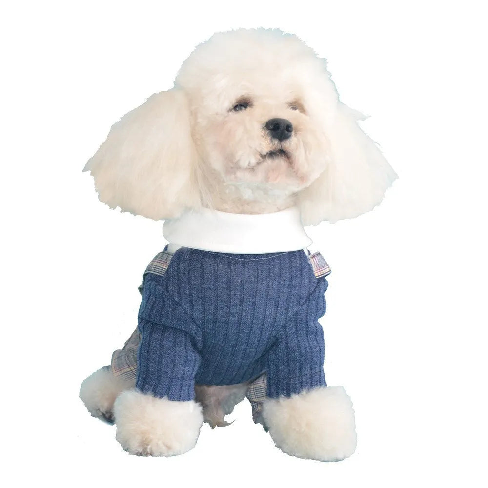 Orange cotton dog suit shirt on small dog with collar visible