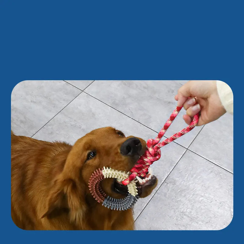 43cm blue braided rope pet toy with multiple knots for puppy chewing relief