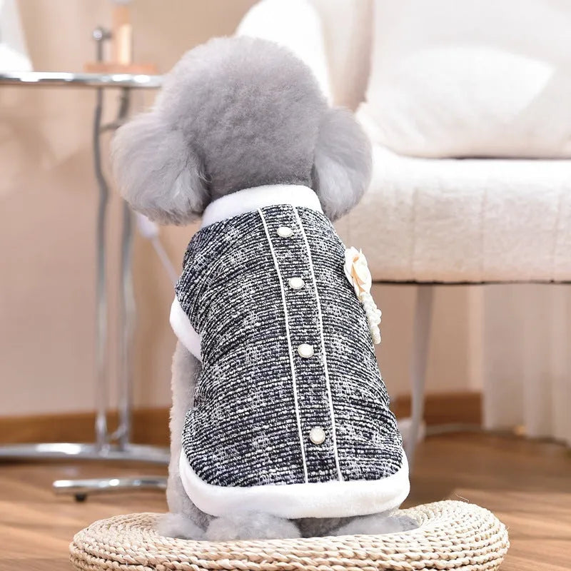 Black PU sausage dog style jacket on a small cat.