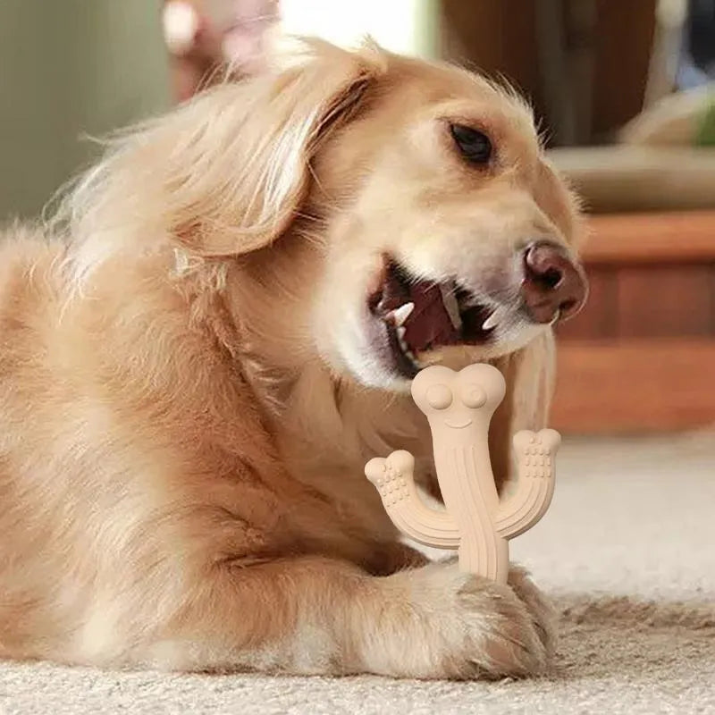 Beige, blue, or purple cactus-shaped dog chew toy made from bamboo fibre and rubber shown in small and large sizes.