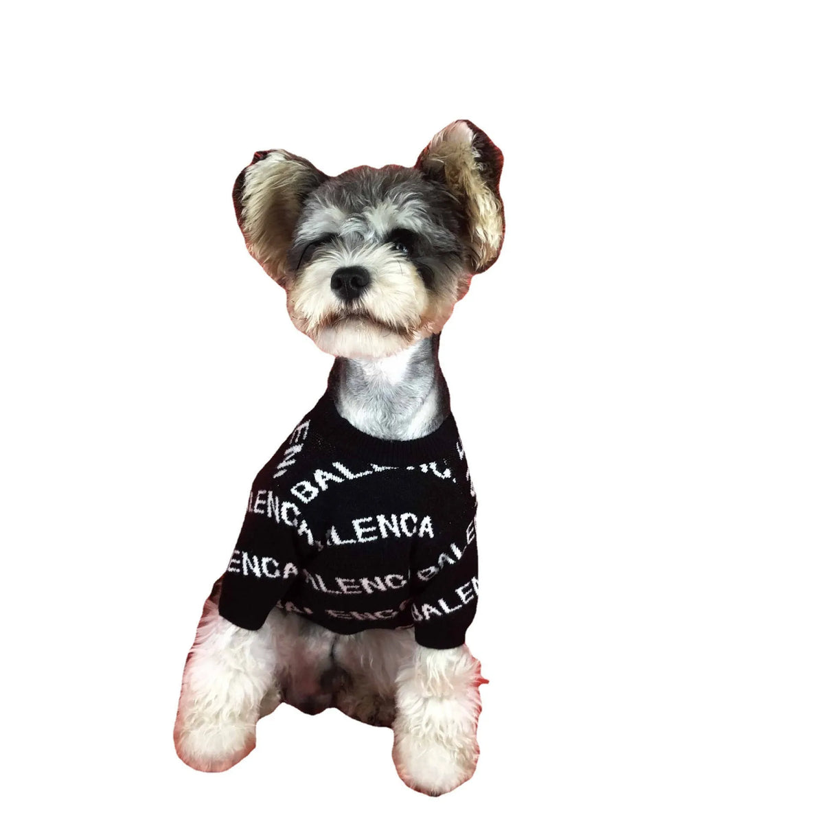 Acrylic pullover dog sweater in black or green, sizes S to 2XL, shown for schnauzer and small dog use.