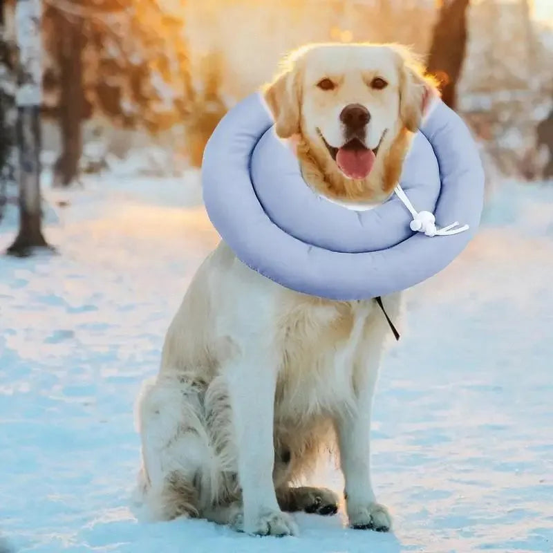 Waterproof Elizabethan collar for dogs and cats in pink, blue, or grey colours