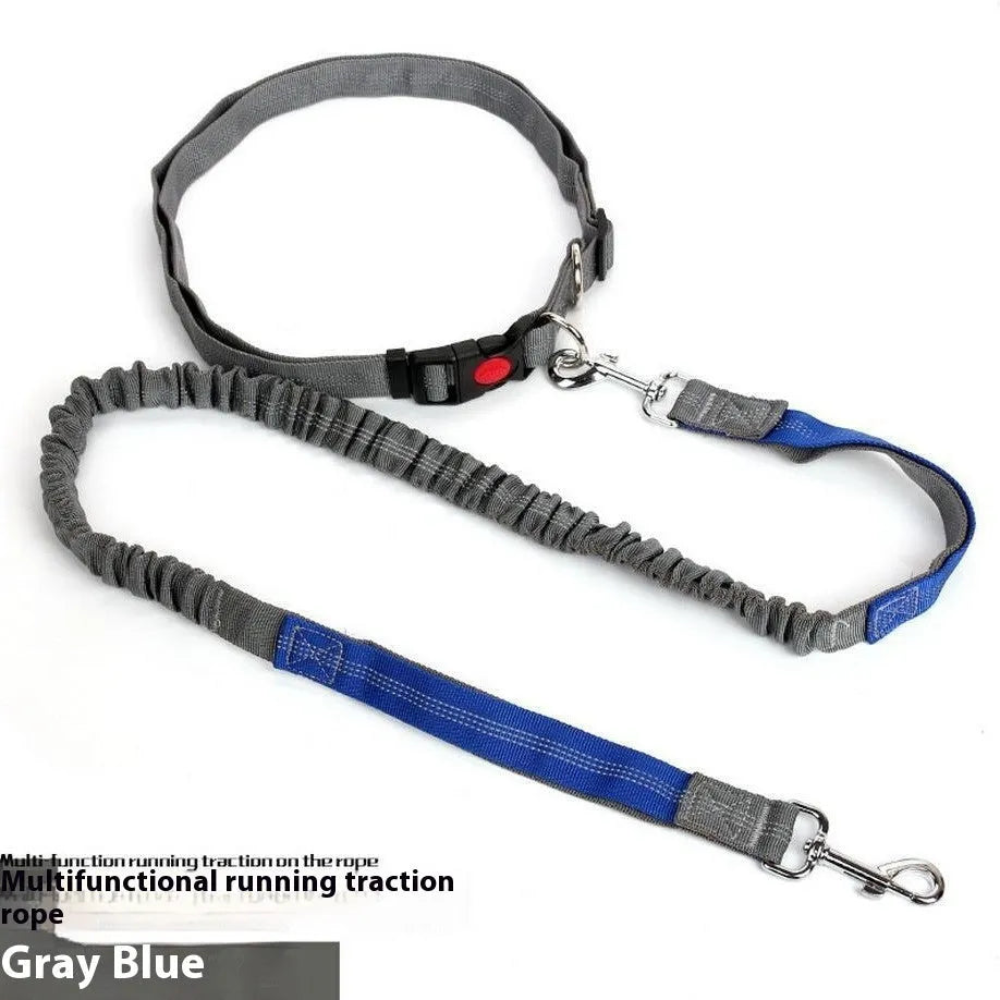 Grey and green nylon dog leash with elastic and reflective strips, shown with a 2.5cm width measurement.