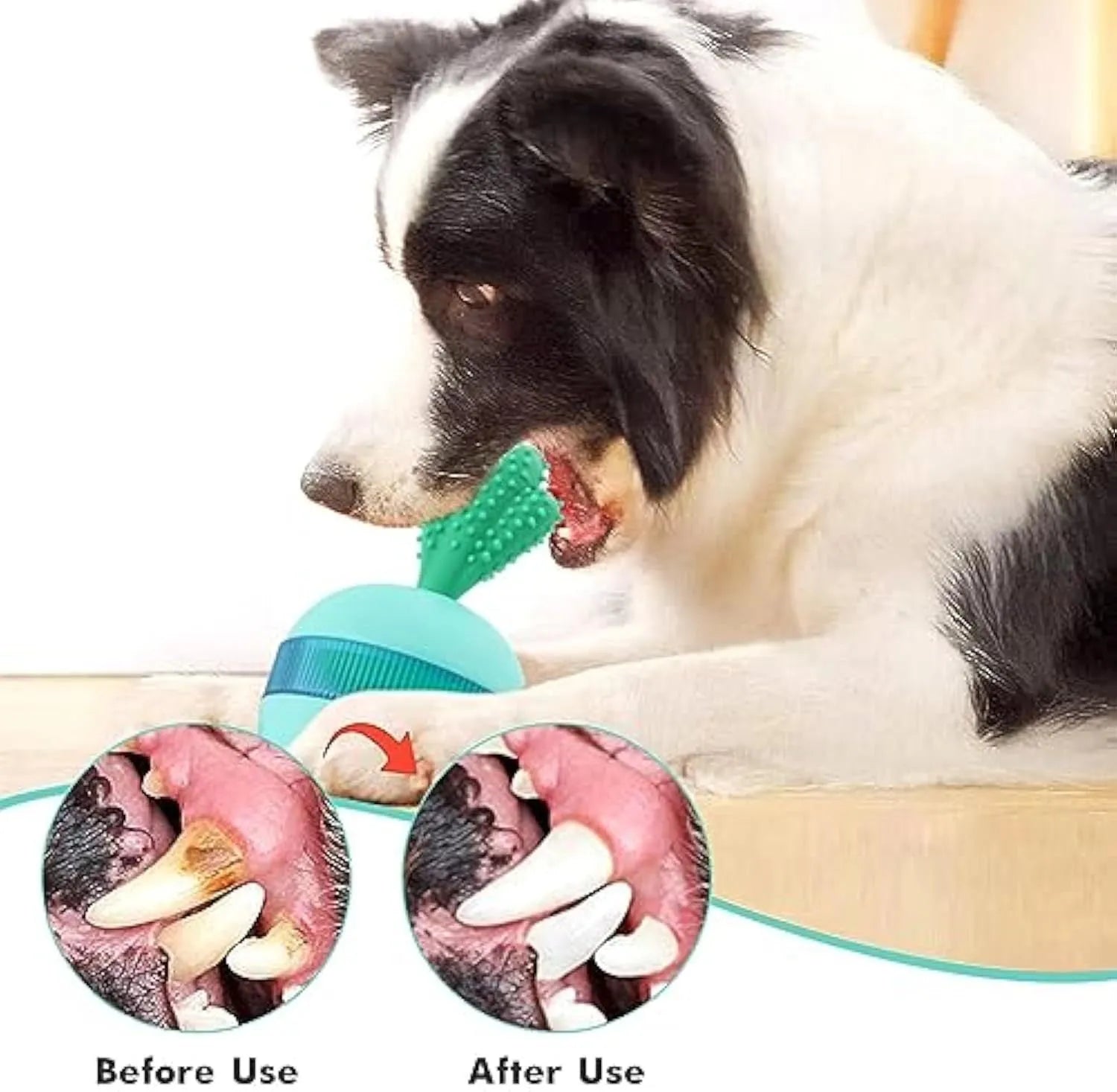 Blue interactive dog treat dispensing toy with tumbler design measuring 8.8cm for medium large dogs