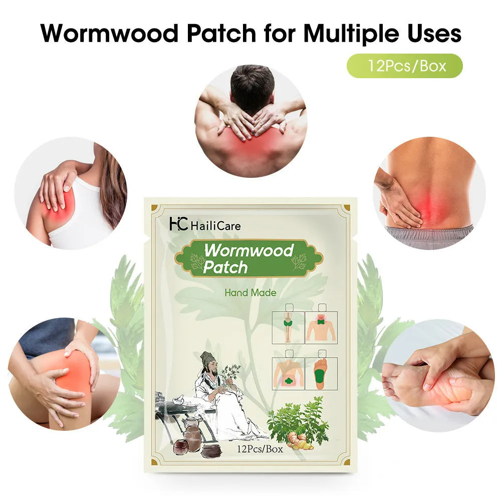 Bag containing 12 Chinese mugwort herbal patches for knee, back, neck and foot.