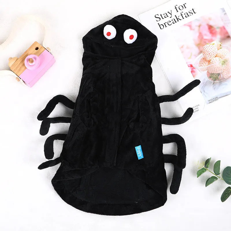 Halloween spider costume for a dog on a white background