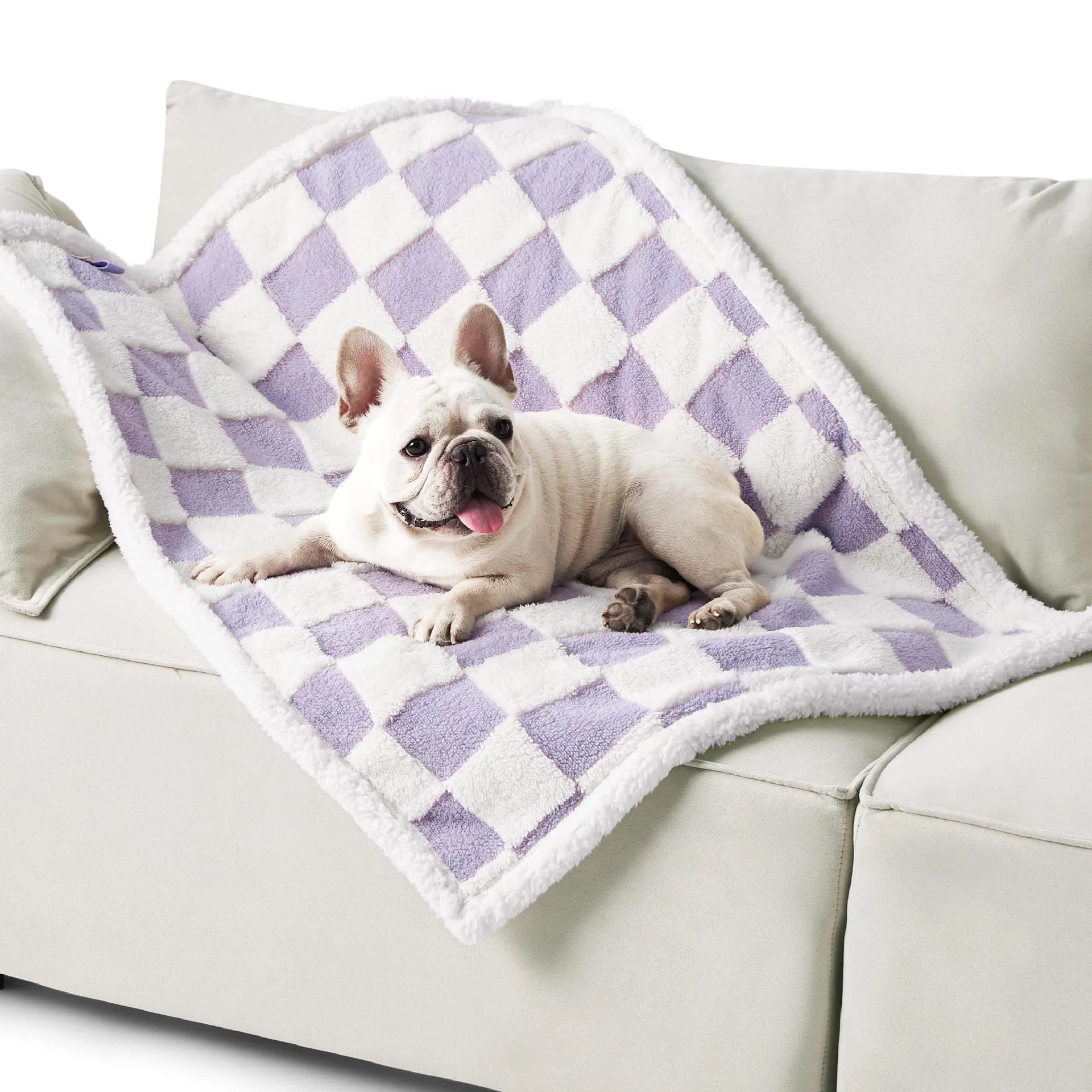 Cotton waterproof dog blanket showing quilt pattern design in multiple size options