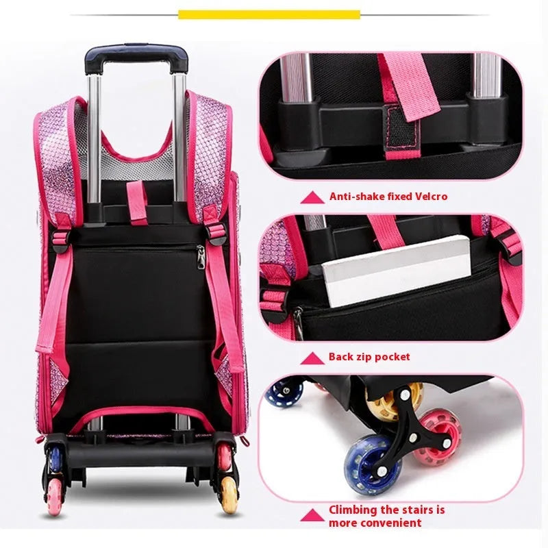 Transparent pet trolley with acrylic cover showing 12 Jin capacity for small dogs and cats with folding shoulder design
