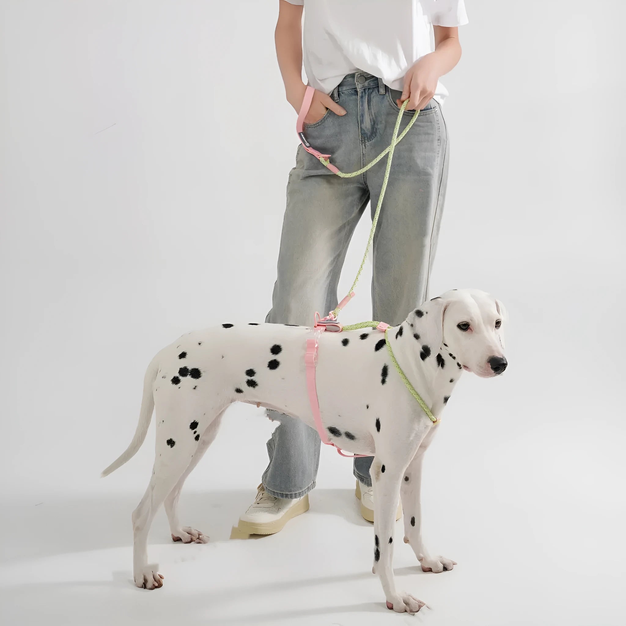 Solid-colour PVC dog leash measuring 120cm in dark red purple yellow or taoyao green colours