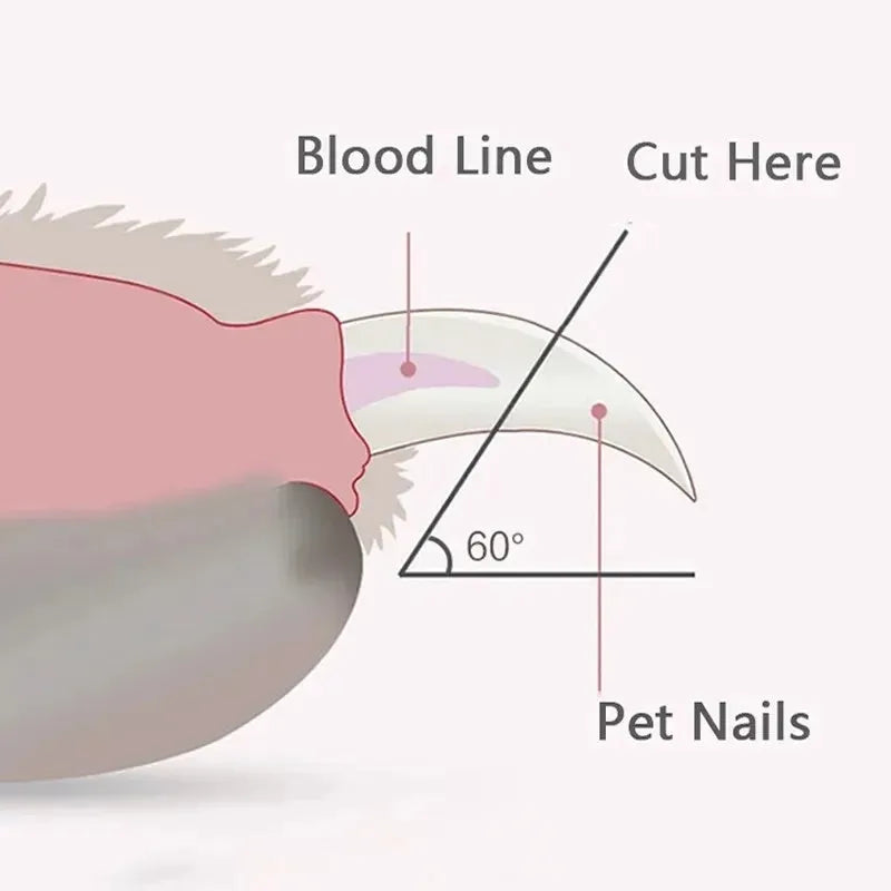 Blue pet nail clippers with LED light for illuminating blood lines during cat and dog grooming