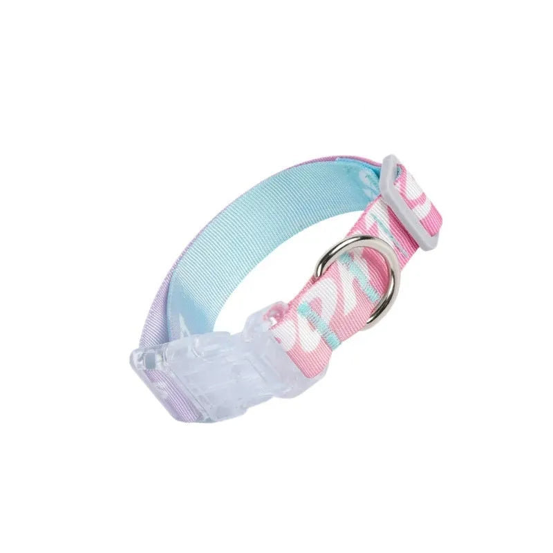 Adjustable nylon dog collar with cartoon gradient printing in gradient colour or panda green, showing secure buckle and size tags.