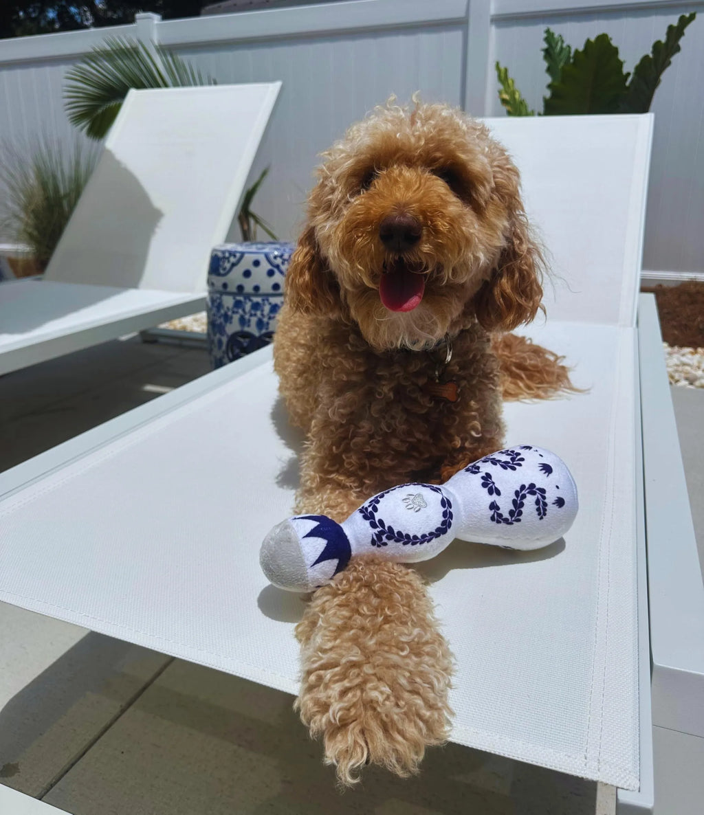 Red and white tequila bottle plush dog toy with squeaker for playful chewing and fetch games