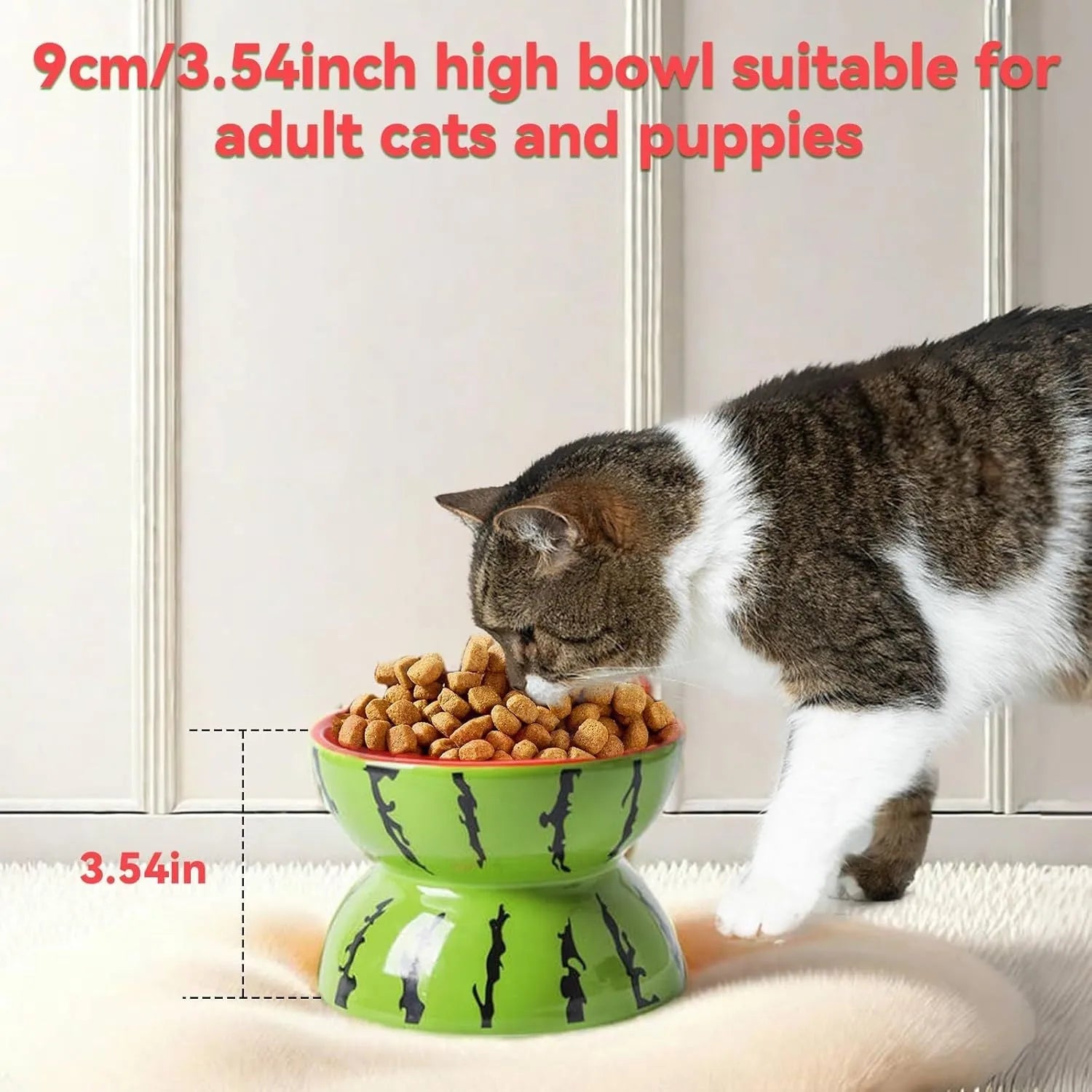 Ceramic raised cat bowl with tilted design, 5-inch height, and patterned surface for indoor pets