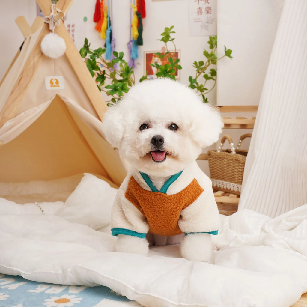Dog wearing a caramel-coloured lambswool berber fleece sweatshirt for autumn and winter.