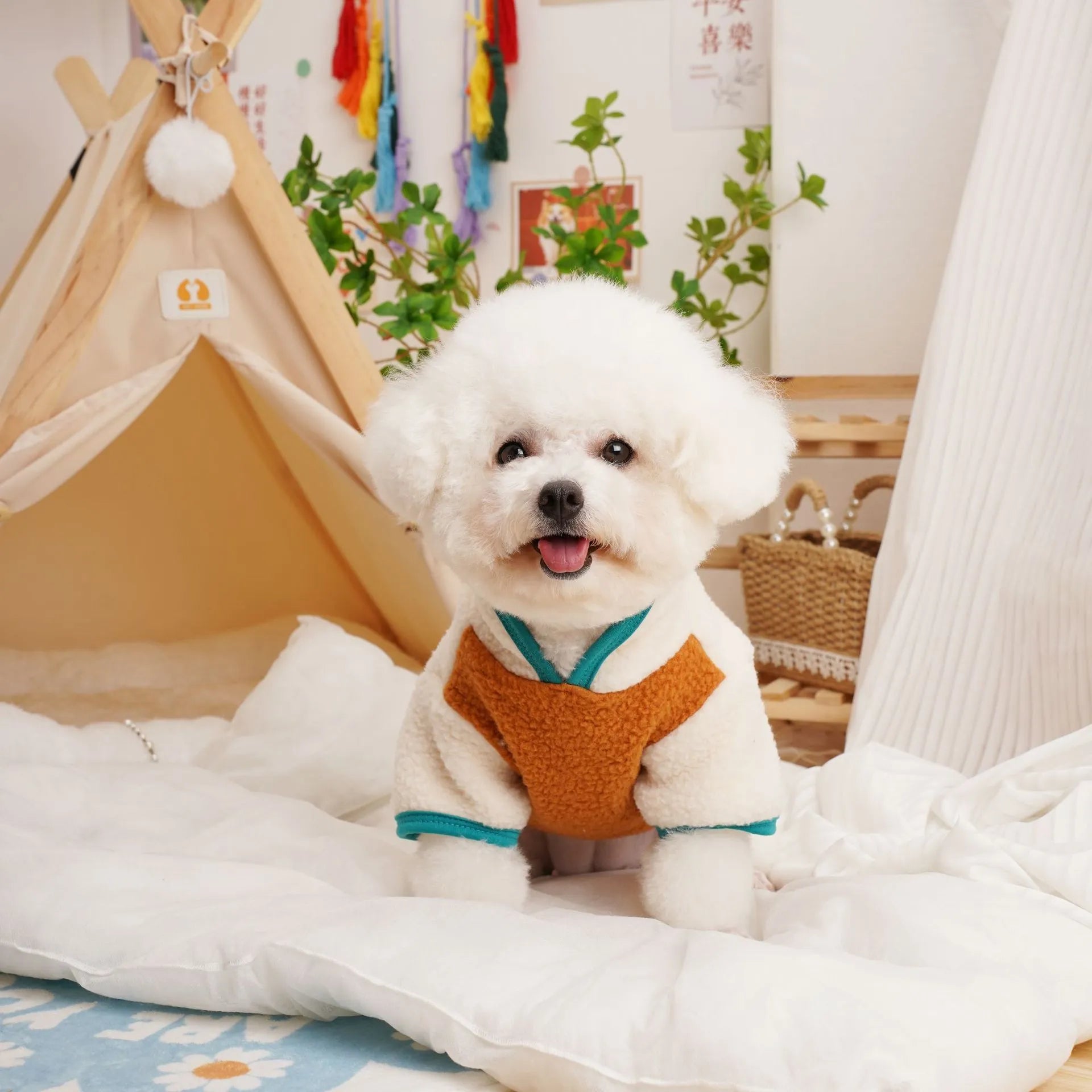 Dog wearing a caramel-coloured lambswool berber fleece sweatshirt for autumn and winter.